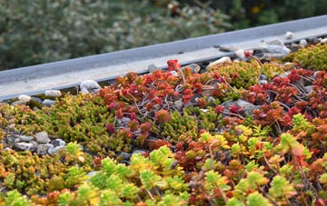 the cost of Glenbrook green roof installation
