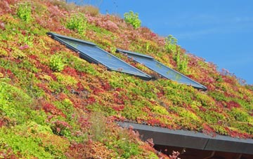 Glenbrook living roof systems